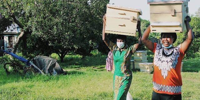 Bitcoinn Enpact - 1095 days of beekeeping business support to Kenyan Farmers